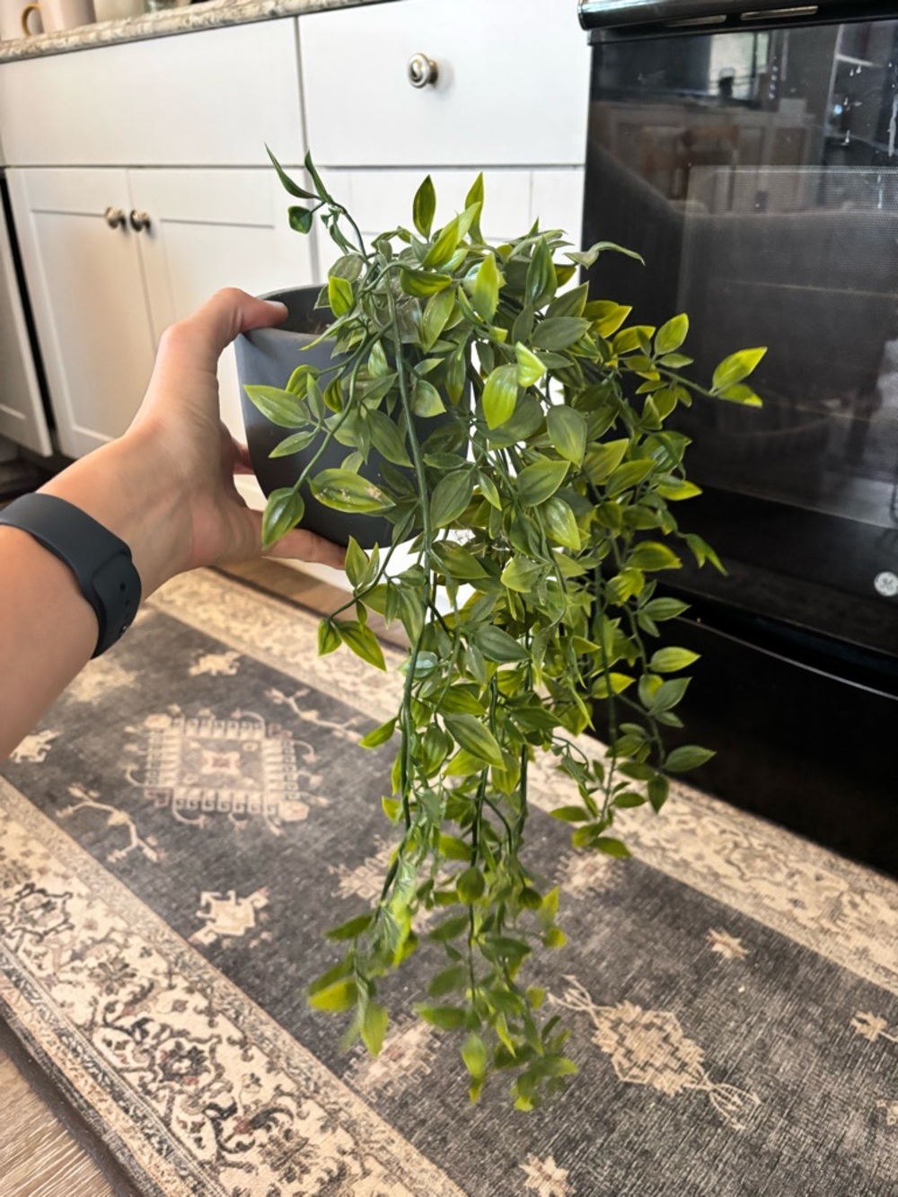 Artificial Vine Hanging Greenery | Set of 3 | Faux Vine Plant - Picture 6 of 6